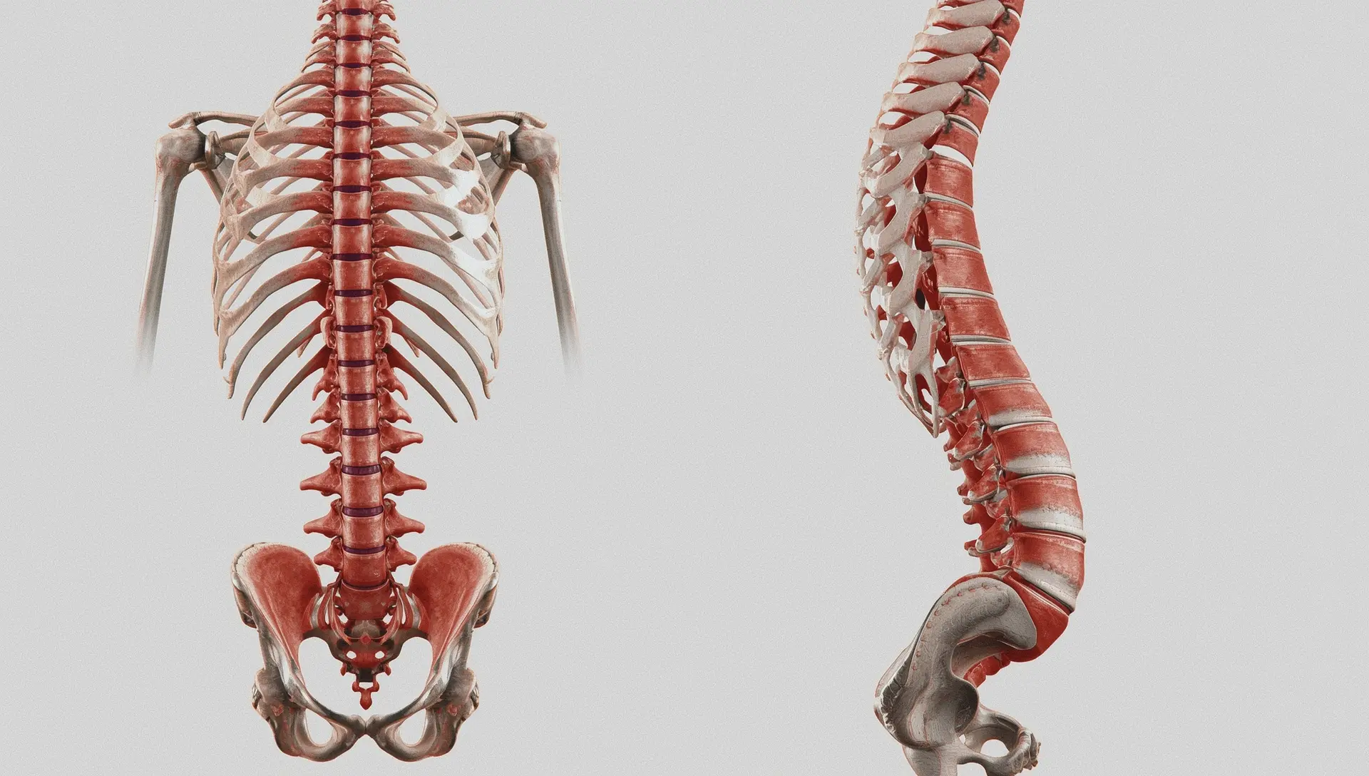 Klinik skoliosis jakarta