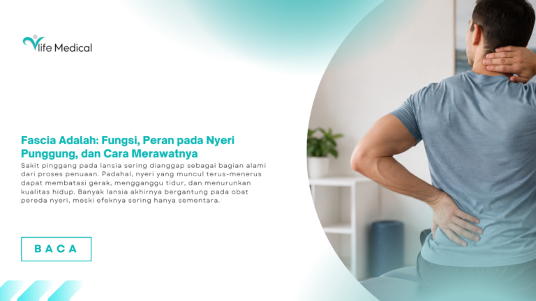 Fascia Adalah: Fungsi, Peran pada Nyeri Punggung, dan Cara Merawatnya